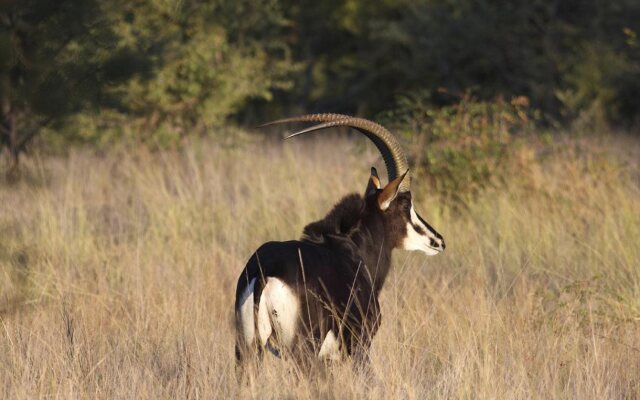 Lapa Lange Game Lodge