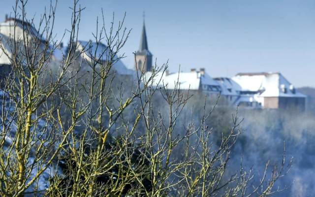 SPA Hôtel Au Lion D'Or