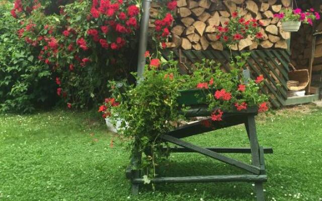 Noclegi pod kasztanem