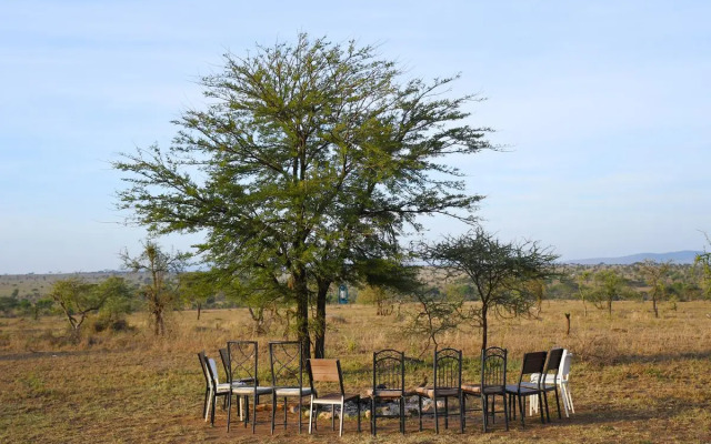 Serengeti Wild Camp