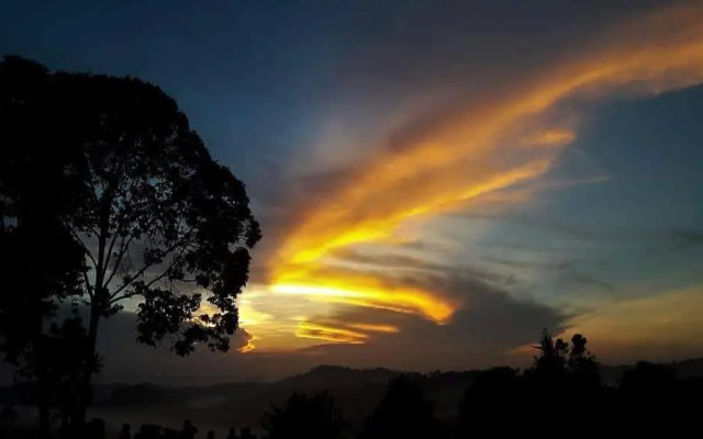 Riverside Palm Inn Sg Lembing