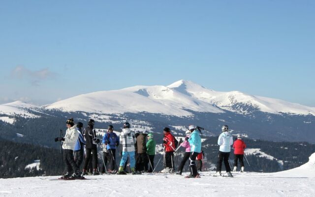 Spacious Chalet with Sauna near Ski Area in Wolfsberg