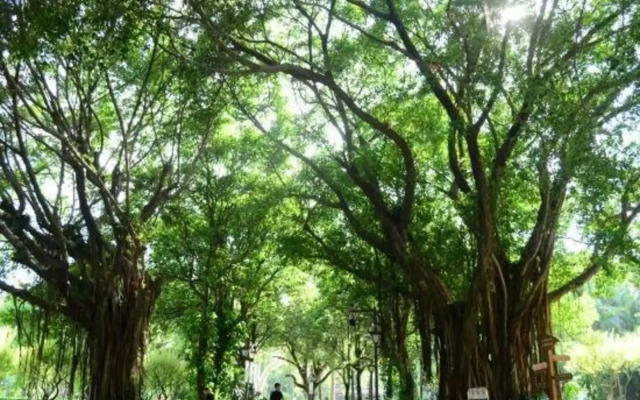 Sanfangqixiang weienshiguang hotel