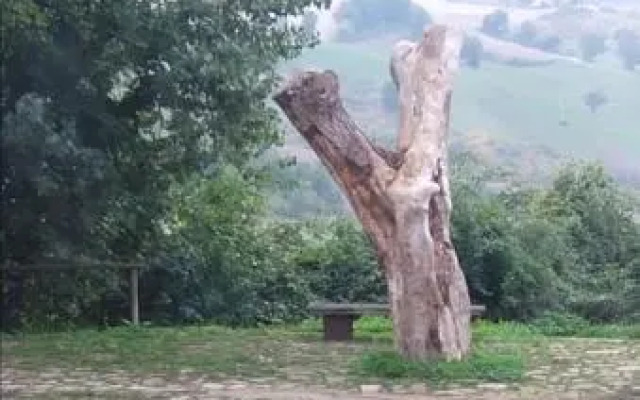 La Locanda Delle Storie