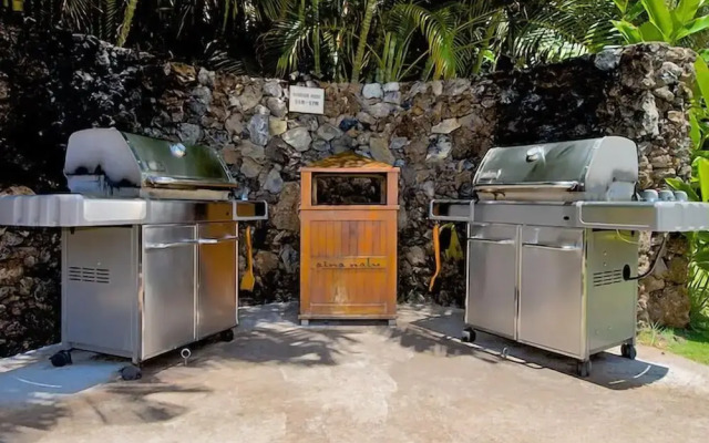 Aina Nalu I109 by RedAwning