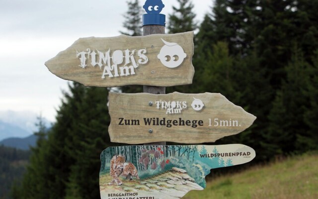Serene Apartment in Fieberbrunn Tyrol near Ski Area