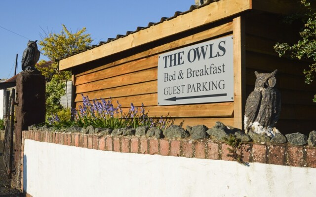 The Owls
