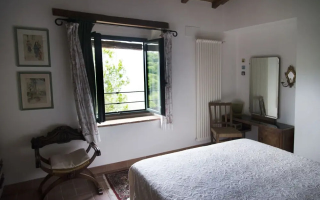 Apartment the Crocodile Feel the Nature