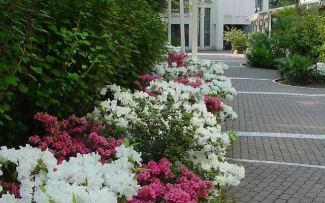 Maraini Resort