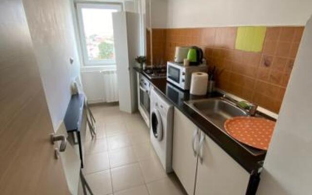 New Green Apartment Studio 1