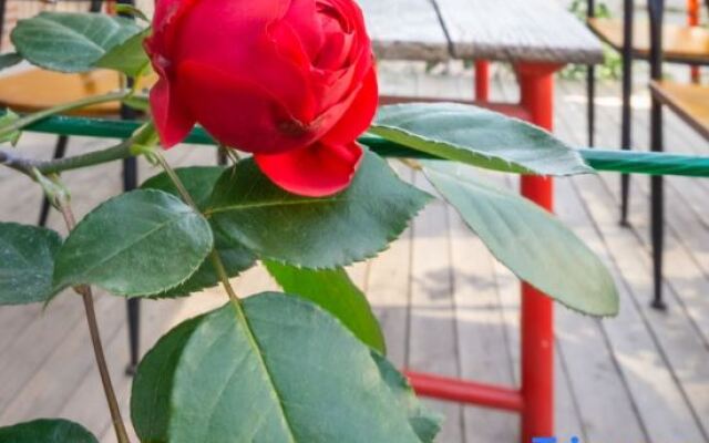 Houlai 100-mile Appointment Homestay