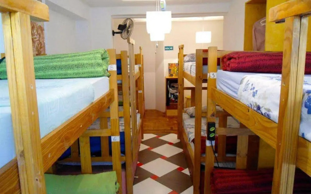 3Dogs Hostel São Paulo