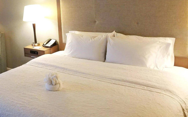 Hampton Inn Philadelphia/Airport