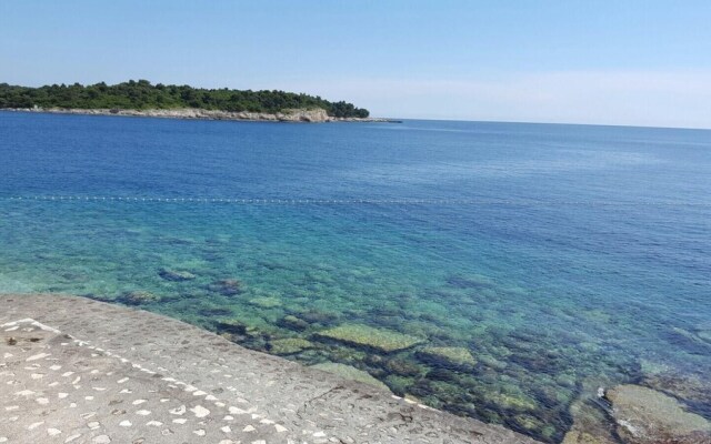 Ferienwohnung-Ginkgo-A3