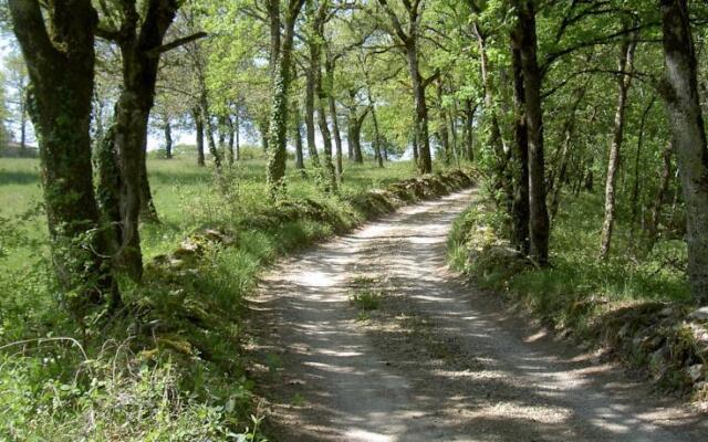 Location Saint Antonin