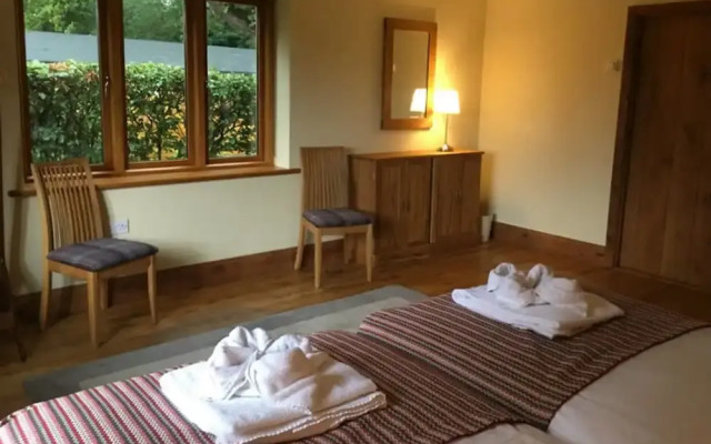 The Tranquil Otter