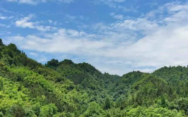 Ya'an Shangli Tianyi Hotel