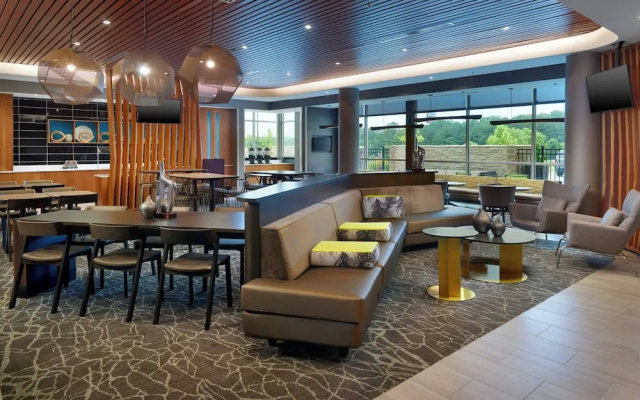 Springhill Suites By Marriott Ellijay