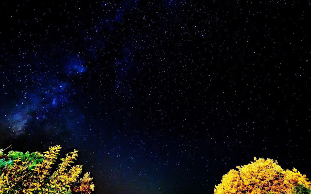 Lazy Lizard Boutique-Hotel