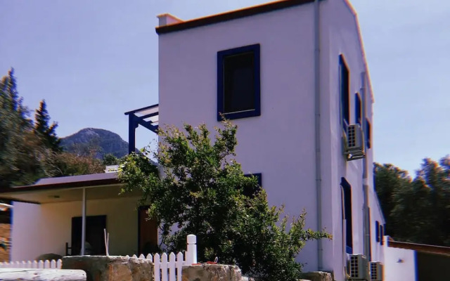Artolive Datca