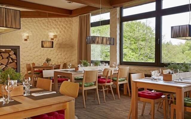 H Plus Hotel Willingen