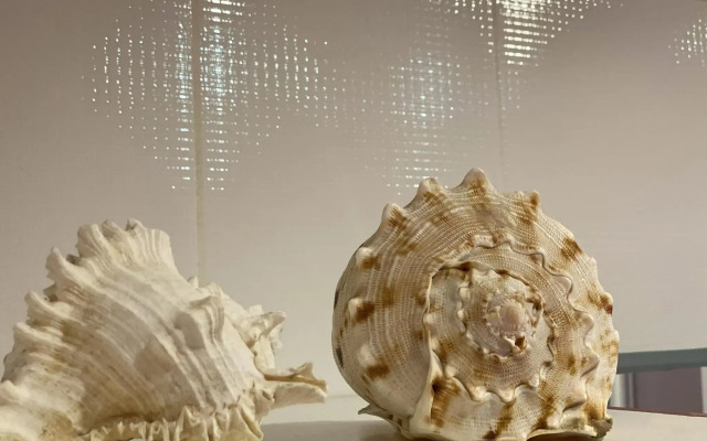 Sutki26 on Dunaevsky Street