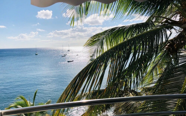 Hotel Pelican
