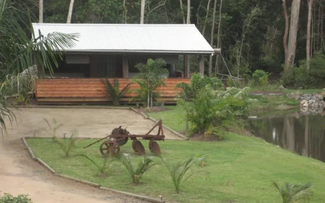 Rainforest Ranch