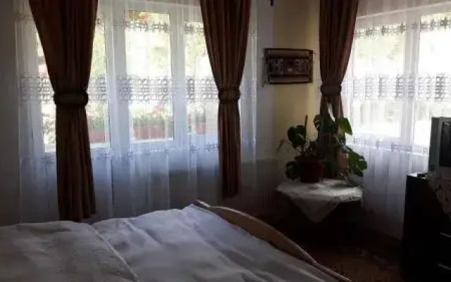 Pensiunea Ana Orghici