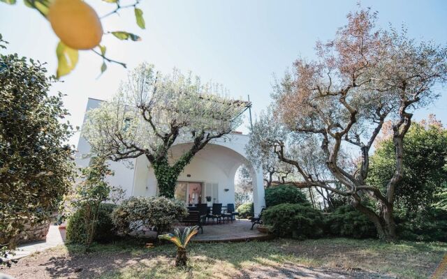 Panoramic Villa near Blue Grotto