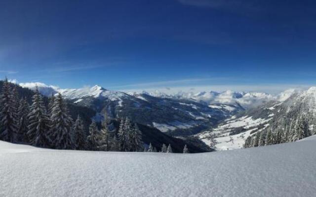 Aparthaus Alpbach Juwel