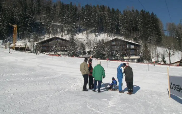 Ferienhaus Schiwiese