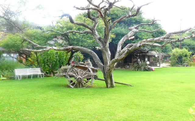 Kameelboom lodge