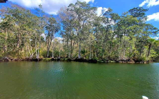 Time Well Wasted in Weeki Star5vacations