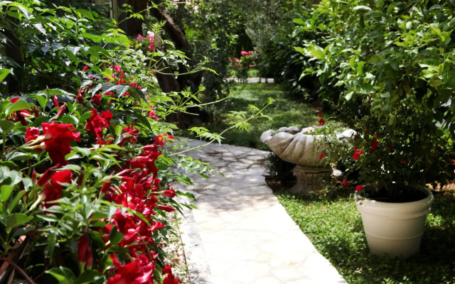Villa Sun