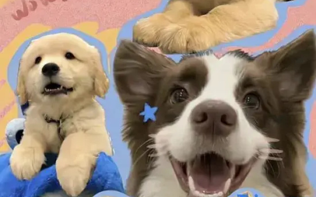 Slow Time Erfeng Light Intelligent Art Villa