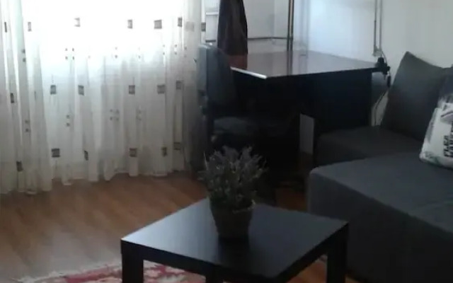 Central apartment TC 1