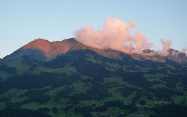 Ferienhaus Niesen View