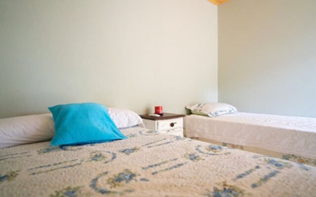 Ara Suite