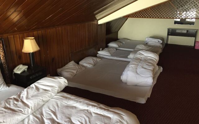 Daisy Dot Hotel