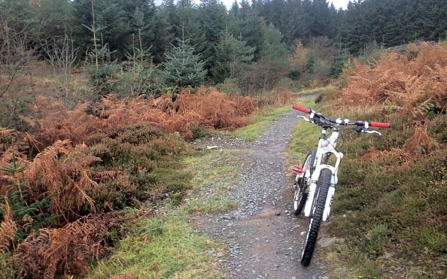 Woodburn Lodge