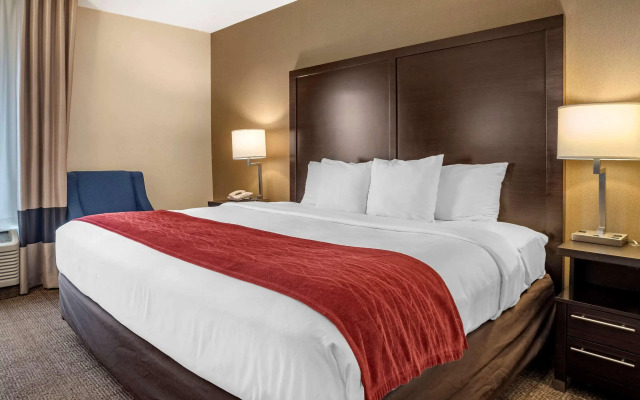 Comfort Inn Baltimore East Towson