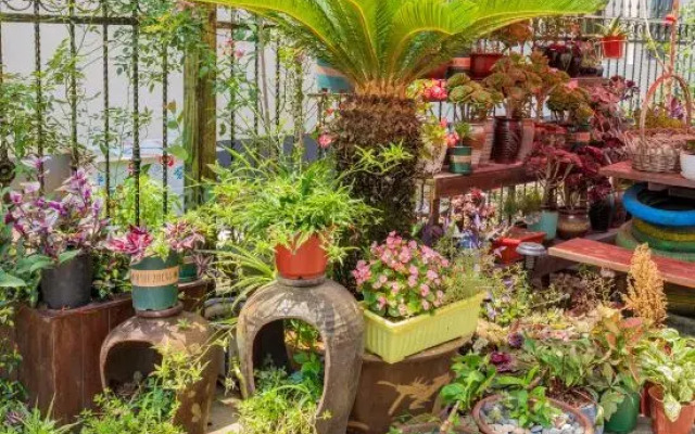 Shanghai Dazaotou Homestay