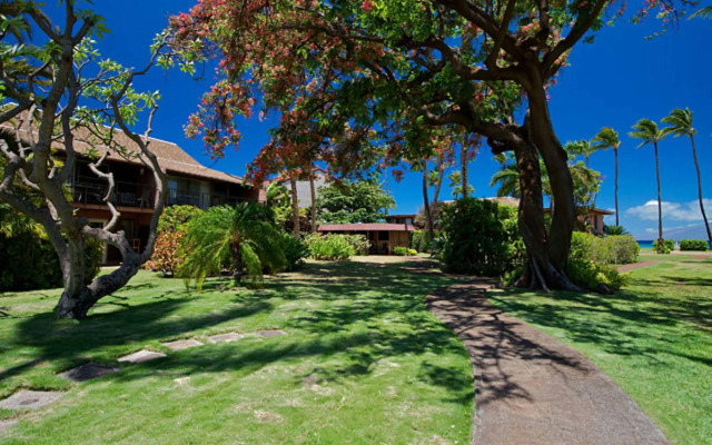 Maui Sands