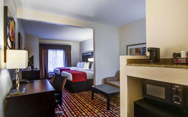 Comfort Suites Northside Hospital Gwinnett
