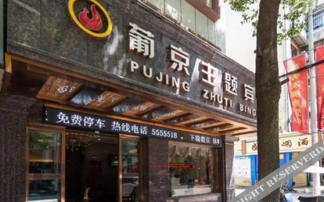 PuJing Theme Hotel