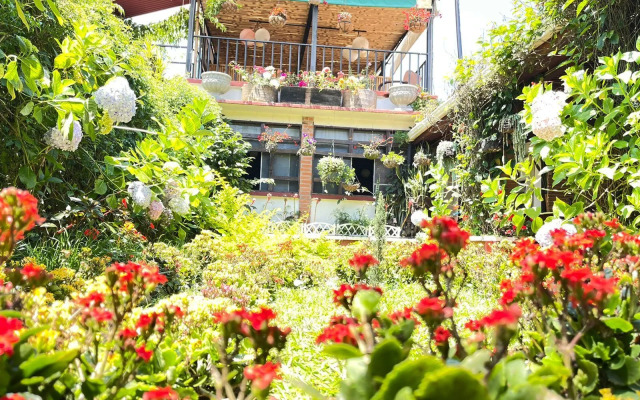 Hotel Casa Chapultepec - Hostel