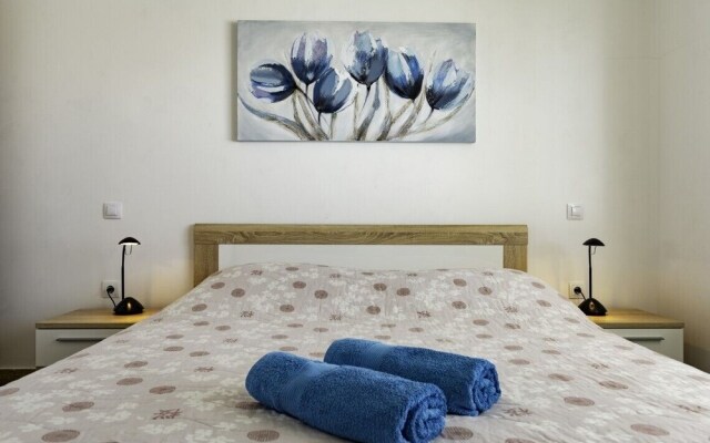 Comfort apartments with pool in Medulin