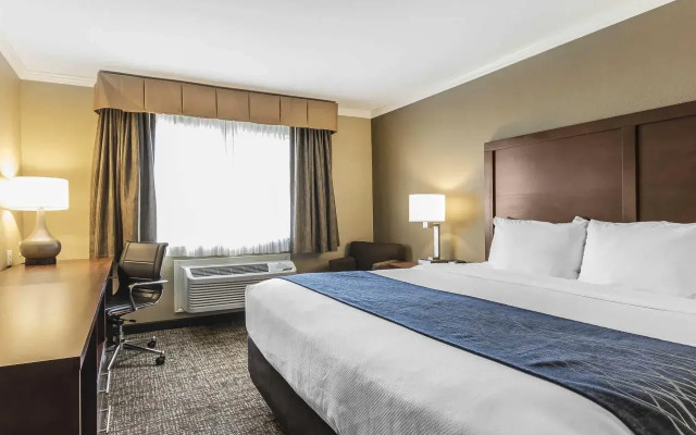 Comfort Inn Sunnyvale - Silicon Valley