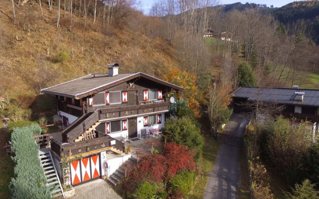 Charming Chalet in Niedernsill Near Ski Area